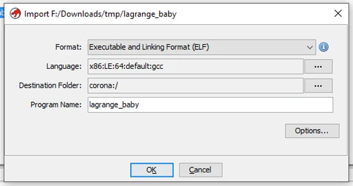 Ghidra import dialog